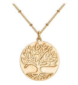 Collier Plaqué Or by Stauffer Ref. 66700042