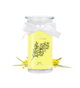 La Bougie Gentle Mimosa, (Collier), Jewel Candle 301912EU-C