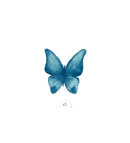 tattoo-lovely-sioou-un-delicat-papillon-bleu-facon-aquarelle-dessine-par-l-artiste-lyonnaise-aurelie-richard-dvc07