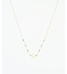 Collier Velasquez en acier PVD jaune et nacre, ZAG bijoux, SNS07970-01SEL