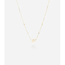 Collier Vahine en acier PVD jaune et nacre, ZAG bijoux, SNS19869-01SEL