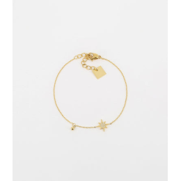 Bracelet Newton en acier PVD jaune et oxydes de zirconium, ZAG bijoux, SBS18297-01WHT