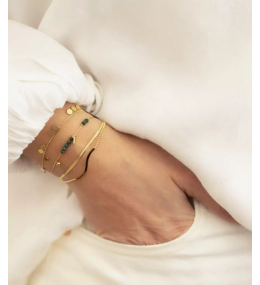 Le Bracelet Neusis en acier PVD jaune, ZAG bijoux, SBS5018-01UNI