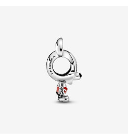 Charms - Bijoux - PANDORA -  798905C01