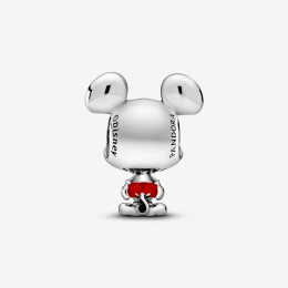 Charms - Bijoux - PANDORA -  798905C01