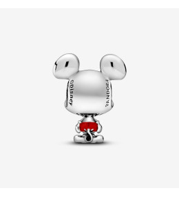 Charms - Bijoux - PANDORA -  798905C01