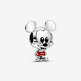 Charms - Bijoux - PANDORA -  798905C01
