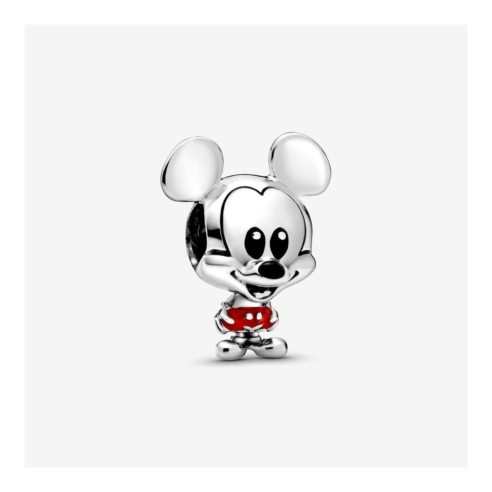 Charms - Bijoux - PANDORA -  798905C01