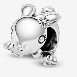 Charms - Bijoux - PANDORA - 798763C00