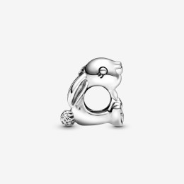 Charms - Bijoux - PANDORA - 798763C00