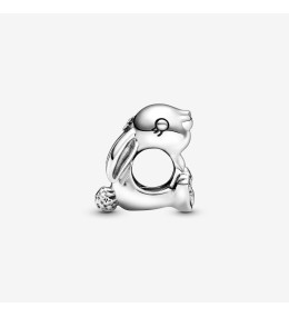 Charms - Bijoux - PANDORA - 798763C00