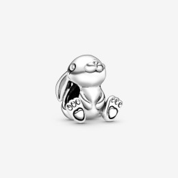 Charms - Bijoux - PANDORA - 798763C00