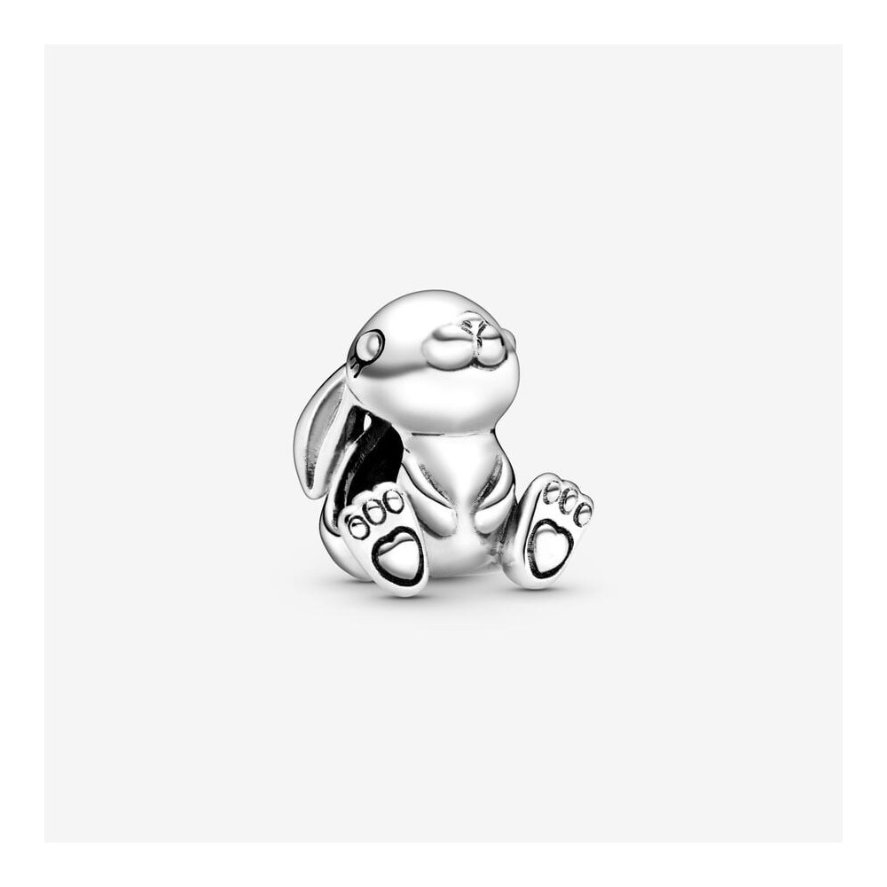 Charms - Bijoux - PANDORA - 798763C00