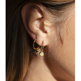 Les Boucles d'oreilles Shinny en acier PVD jaune et oxydes de zirconium, ZAG bijoux, SEC18387-01WHT