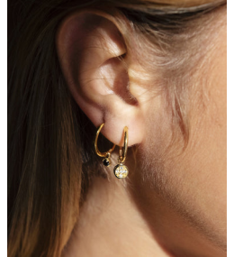 Les Boucles d'oreilles Shinny en acier PVD jaune et oxydes de zirconium, ZAG bijoux, SEC18387-01WHT
