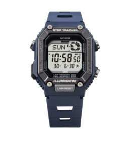 Montre CASIO TIMELESS WS-B1000-2AVEF