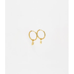 Les Boucles d'oreilles Astrid en acier PVD jaune et oxydes de zirconium, ZAG bijoux, SEC18410-01UNI