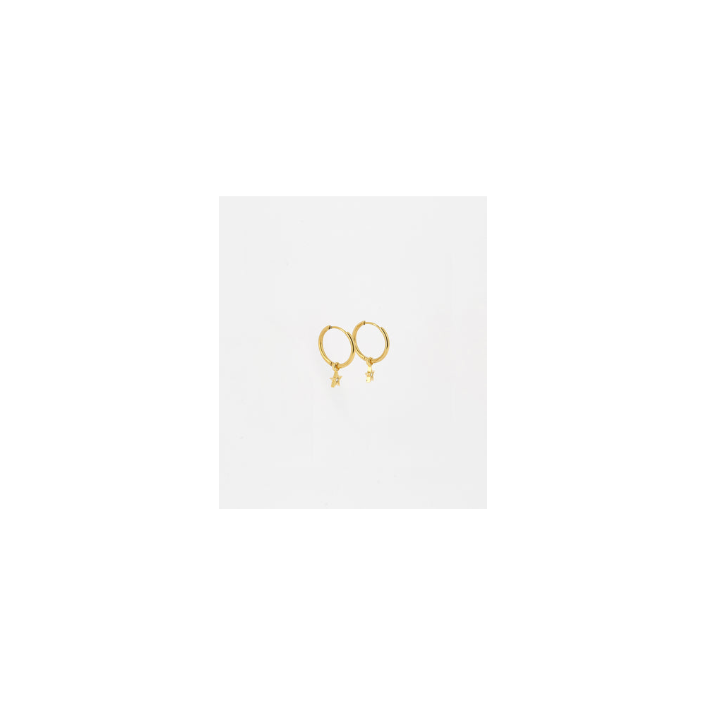 Les Boucles d'oreilles Astrid en acier PVD jaune et oxydes de zirconium, ZAG bijoux, SEC18410-01UNI