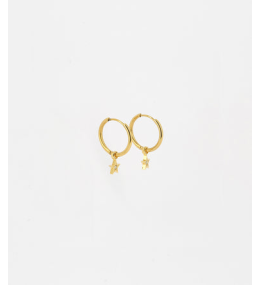 Les Boucles d'oreilles Astrid en acier PVD jaune et oxydes de zirconium, ZAG bijoux, SEC18410-01UNI