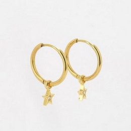 Les Boucles d'oreilles Astrid en acier PVD jaune et oxydes de zirconium, ZAG bijoux, SEC18410-01UNI