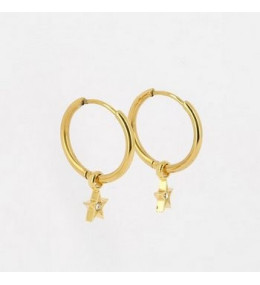 Les Boucles d'oreilles Astrid en acier PVD jaune et oxydes de zirconium, ZAG bijoux, SEC18410-01UNI