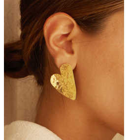 Les Boucles d'oreilles Coracao en acier PVD jaune ZAG bijoux, SEL24166-01UNI