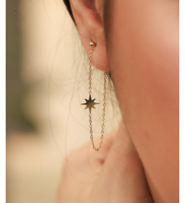 Les Boucles d'oreilles pendantes South sea en acier PVD jaune ZAG bijoux, SEL5833-01UNI