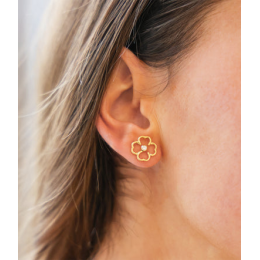 Les Boucles d'oreilles Adone en acier PVD jaune et oxydes de zirconium ZAG bijoux, SEM25388-01WHT