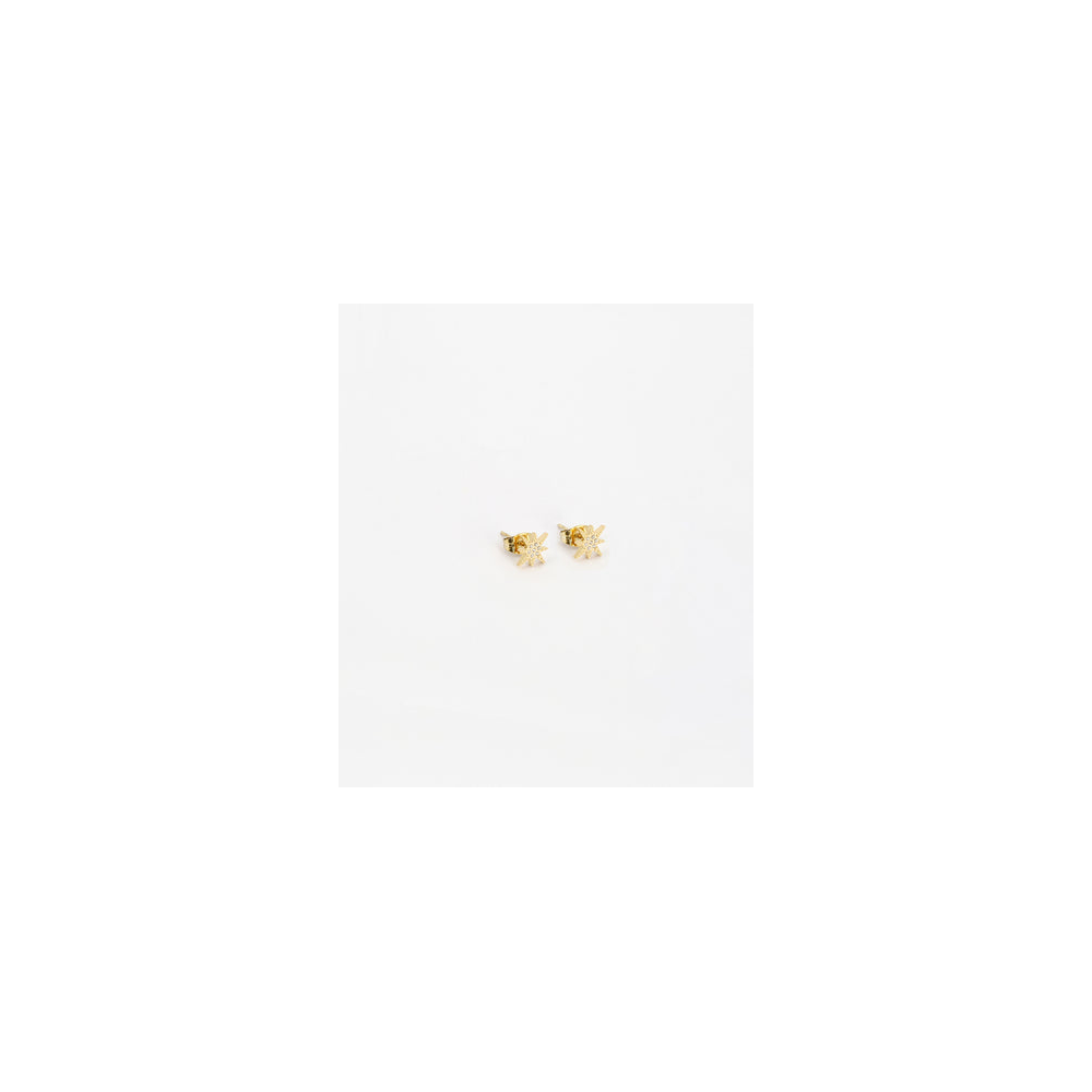 Boucles d'oreilles Isaac en acier PVD jaune et oxydes de zirconium ZAG bijoux, SEP18288-01WHT