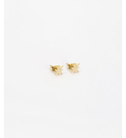 Boucles d'oreilles Isaac en acier PVD jaune et oxydes de zirconium ZAG bijoux, SEP18288-01WHT