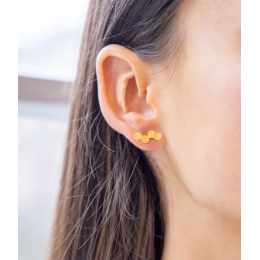 Les Boucles d'oreilles Cosima en acier PVD jaune ZAG bijoux, SEP25644-01UNI