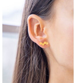 Les Boucles d'oreilles Cosima en acier PVD jaune ZAG bijoux, SEP25644-01UNI