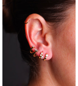Les Boucles d'oreilles Angela en acier PVD jaune et oxydes de zirconium ZAG bijoux, SEX25185-01WHT