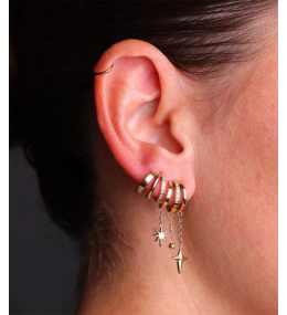 Les Boucles d'oreilles Virginia en acier PVD jaune et oxydes de zirconium ZAG bijoux, SEX25190-01WHT