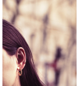 La Bague d'oreille Randa en acier PVD jaune ZAG bijoux, SLK13982-01UNI