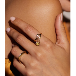 La Bague ajustable Hoya en acier PVD jaune ZAG bijoux, SRR24502-01UNI
