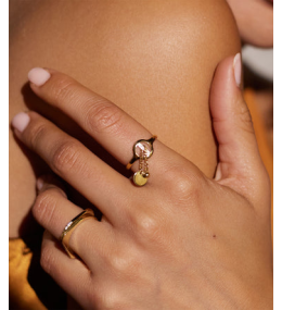 La Bague ajustable Hoya en acier PVD jaune ZAG bijoux, SRR24502-01UNI