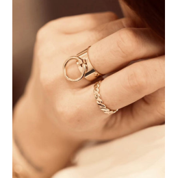 La Bague ajustable Swan en acier PVD jaune ZAG bijoux, SRR3437-01UNI