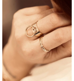 La Bague ajustable Swan en acier PVD jaune ZAG bijoux, SRR3437-01UNI