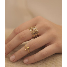 La Bague ajustable Soto en acier PVD jaune ZAG bijoux, SRR6330-01UNI