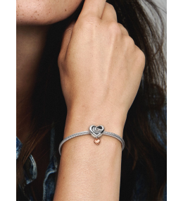 Charms - Bijoux - PANDORA - 789372C00