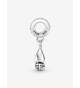 Charms - Bijoux - PANDORA - 799439C00