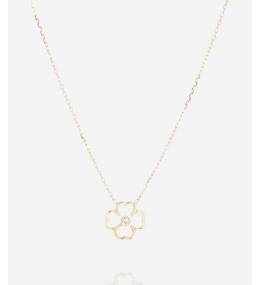 Collier Adone en acier PVD jaune et oxyde de zirconium ZAG bijoux, SNS25388-01WHT