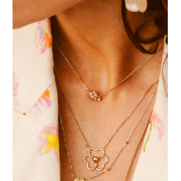 Le Collier Bacca en acier PVD jaune et amazonite ZAG bijoux, SNS25467-01AQU