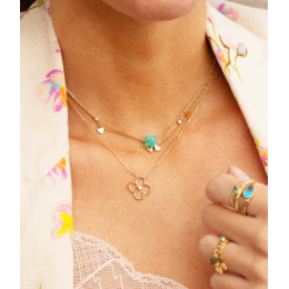 Le Collier Arisa en acier PVD jaune ZAG bijoux, SNS25647-01UNI