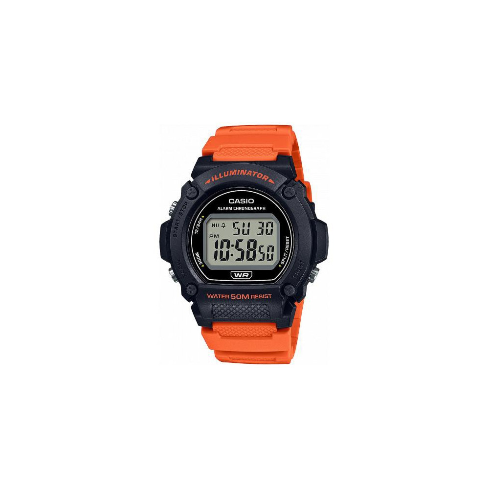Montre CASIO TIMELESS COLLECTION W-219H-4AVEF
