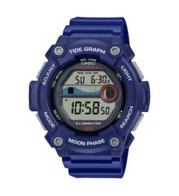 Montre CASIO COLLECTION WS-1300H-2AVEF