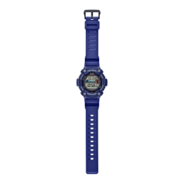 Montre CASIO COLLECTION WS-1300H-2AVEF