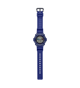 Montre CASIO COLLECTION WS-1300H-2AVEF