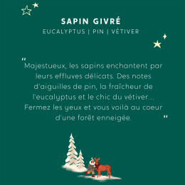 My Jolie Candle. Bougie Bijou Sapin Givré